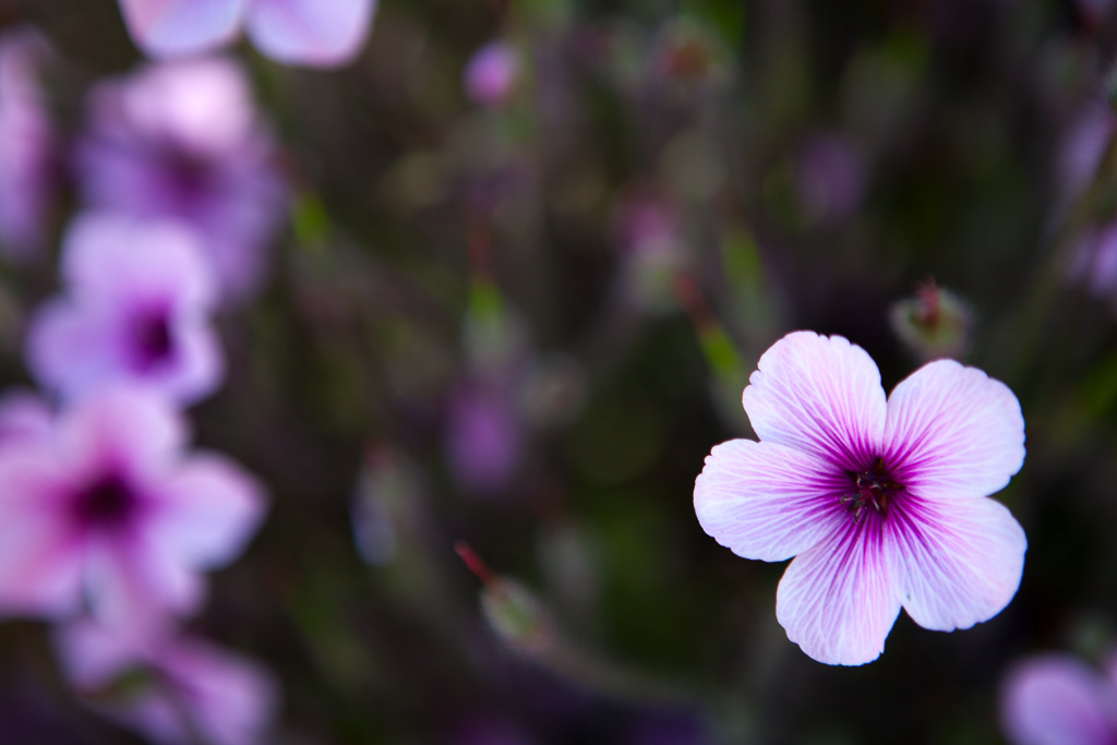 1/200 sec at f / 2.8