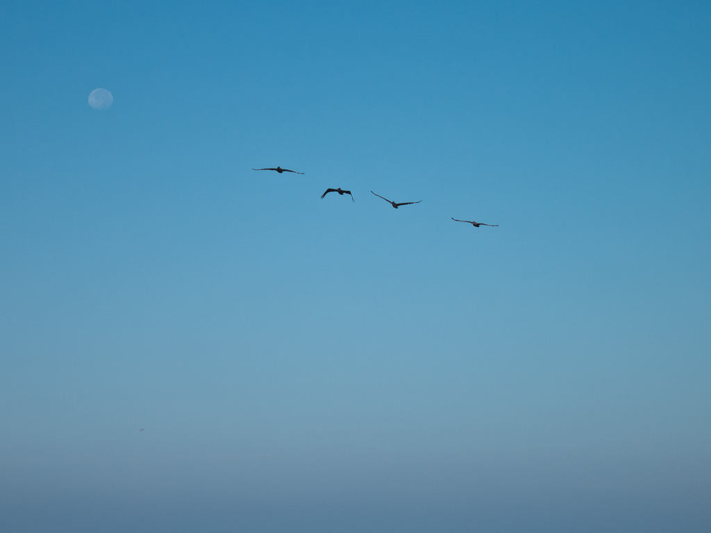1/800 sec at f / 5.0