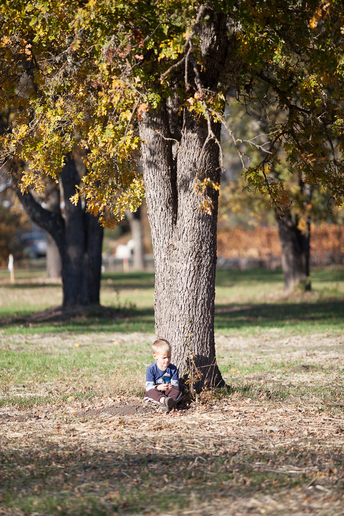1/1250 sec at f / 2.8