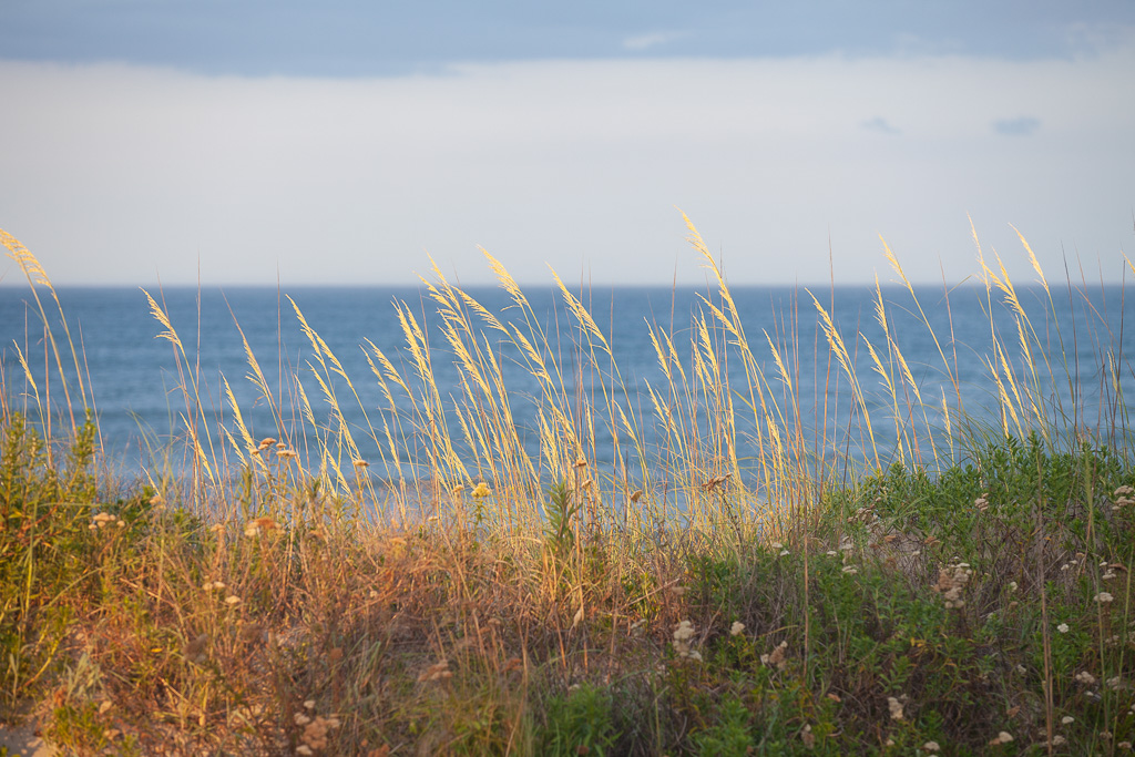 1/400 sec at f / 4.0