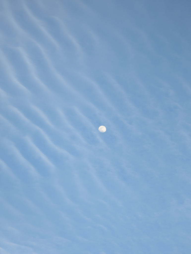 1/50 sec at f / 3.5