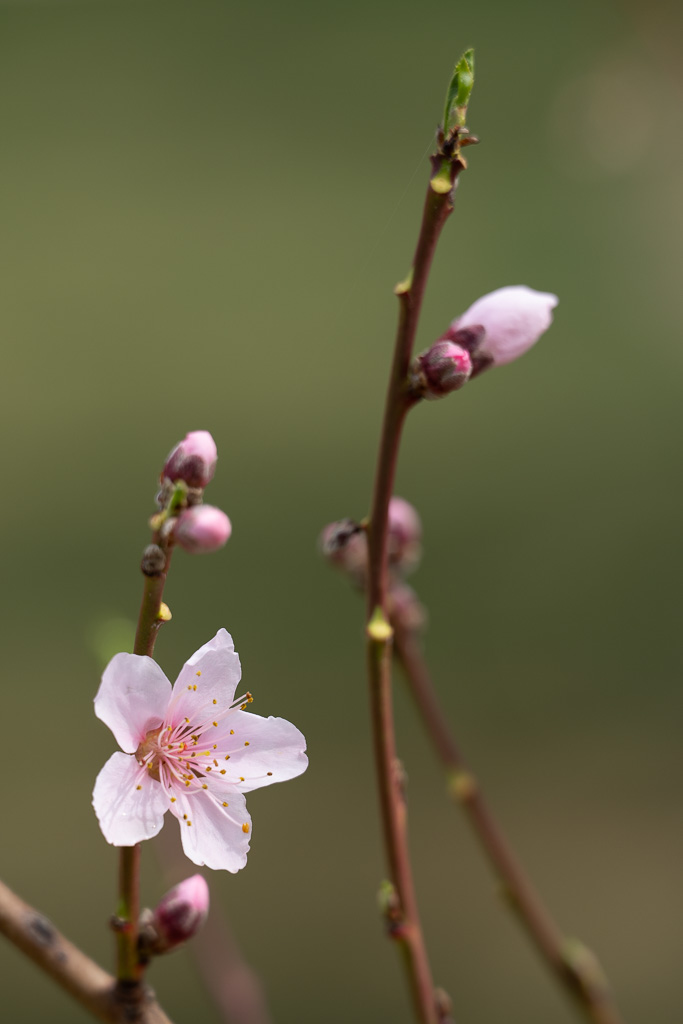 1/400 sec at f / 4.0