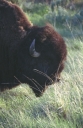 SCAN_0114