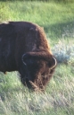 SCAN_0115
