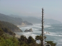 12oregon