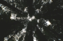 SCAN_0220