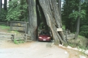 SCAN_0224
