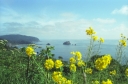 SCAN_0210