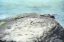 SCAN_0229