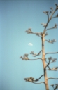 SCAN_0261