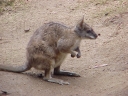 21zoo