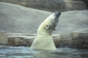 SCAN_0366