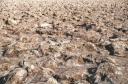 SCAN_0399